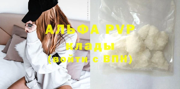 хмурый Дмитров
