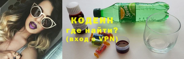 хмурый Дмитров