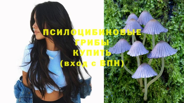 хмурый Дмитров