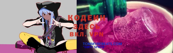 хмурый Дмитров