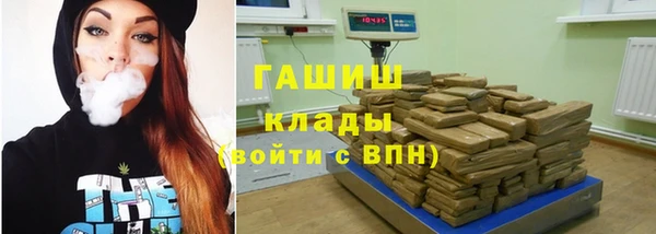 хмурый Дмитров