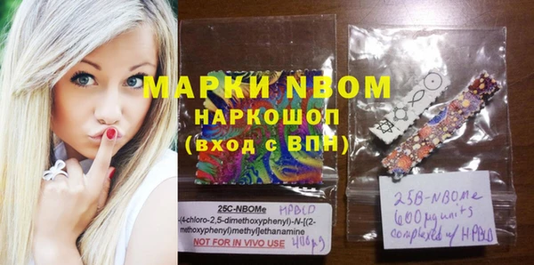 хмурый Дмитров
