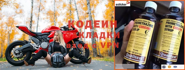 хмурый Дмитров