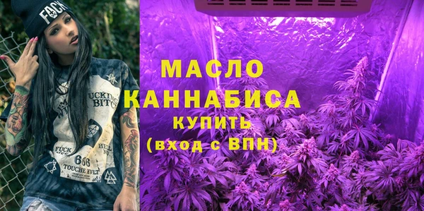 хмурый Дмитров