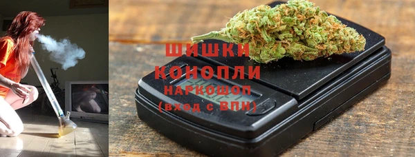 хмурый Дмитров