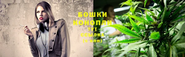 хмурый Дмитров